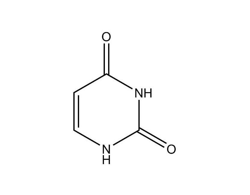 Picture of Uracil